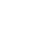 Logo Icon